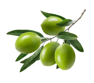 Green Olives 340g